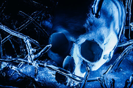 Close up horror scary photo of human skull laying on frozen ice surface forest ground.