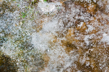 Close up photo of frozen ground surface texture background.