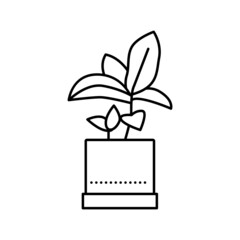 green leaves houseplant in pot line icon vector illustration