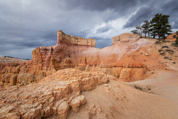 Fototapeta premium Bryce Canyon National Park, Utah