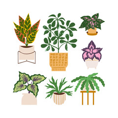 Urban jungle illustration, trendy home decor with plants, begonia, tropical leaves in stylish planters and pots. © Mussbila