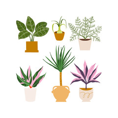 Urban jungle illustration, trendy home decor with plants, palm, stromanthe, asparagus, peacock, tropical leaves in stylish planters and pots.