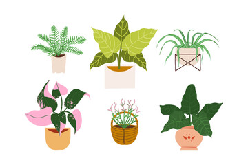 Urban jungle illustration, trendy home decor with plants, cactus, philodendron, monstera, tropical leaves in stylish planters and pots. © Mussbila
