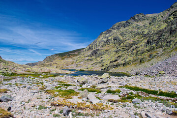 Never measure the height of a mountain until you have reached the top. Then you will see that it was not as tall as you thought.