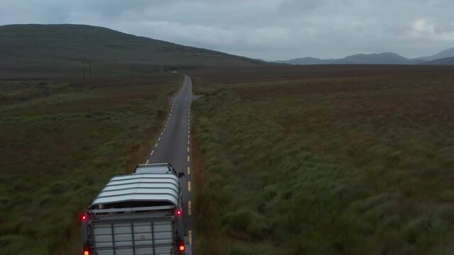 Forwards fly behind vehicle with horse trailer at dusk. Narrow road in countryside surrounded by pastures and grasslands. Ireland