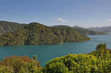 Fototapeta premium Marlborough Sounds