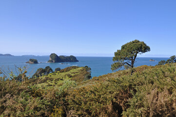 Fototapeta na wymiar Coromandel Peninsula New Zealand