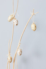 Minimal background of handmade Easter decoration of branches with golden eggs against white