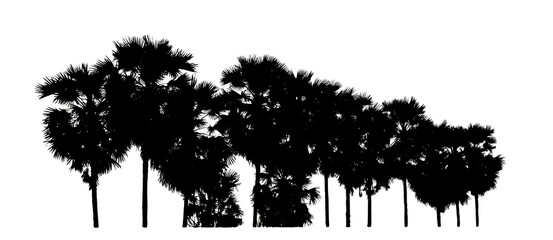 silhouette of palm trees High resolution tree landscape isolated on white background for print and web page with cut paths and alpha channels.