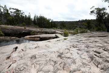 Beautiful Giraween National Park in Southern Downs Queensland, featuring native plants, gum trees and giant granite boulders