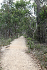 Beautiful Giraween National Park in Southern Downs Queensland, featuring native plants, gum trees and giant granite boulders