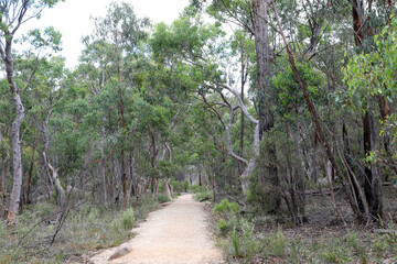 Beautiful Giraween National Park in Southern Downs Queensland, featuring native plants, gum trees and giant granite boulders
