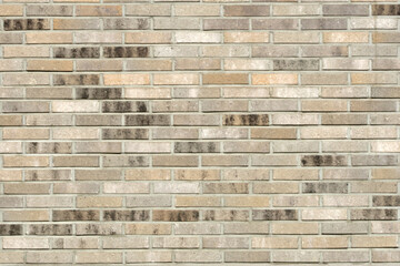 Mustard color bricks installed on the wall of the house