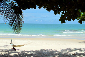 beach with palm trees