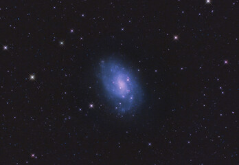 Fototapeta na wymiar NGC 300 galaxy