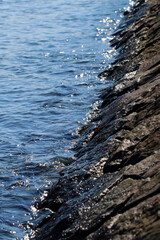 Sea water edge stone masonry revetment shinning under the sunlight. 青のりなどの海藻が付着した石積みの護岸堤防を洗うのどかな海辺の写真。