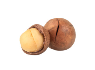 Peeled and whole macadamia nuts isolated