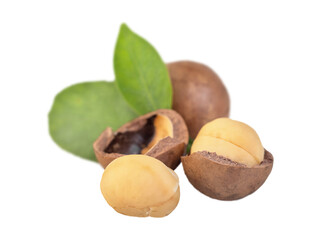 Peeled and whole nuts with macadamia leaf isolated