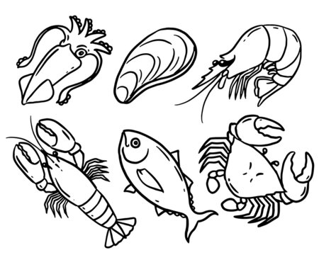 Doodle style fresh seafood drawing set, simple black line marine animal illustration on white background.