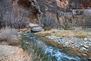 North Fork Virgin River in Zion National Park, Utah
