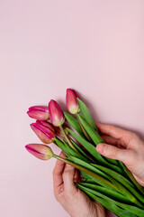 Men's hands hold a bouquet of pink tulips on a pink background. A place for text and congratulations from March 8. International Women's Day on March 8..