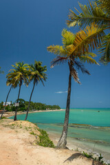 Obraz premium Japaratinga Beach, Alagoas, Brazil on February 10, 2022. Northeast Brazil.