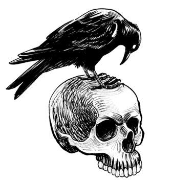 recommend clip art: Crow bird sitting on human skull. Ink black and white drawing