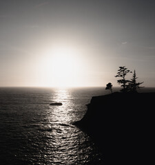 Sunset on natural bridges along the west coast of the Pacific Ocean, Oregon during the golden hour sunset - the sun's rays through the trees with dense vegetation. Beautiful seascape with rocks.