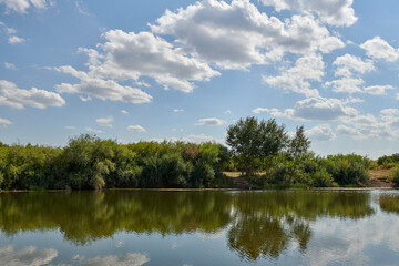 Fototapeta na wymiar landscape lake and forest with blue sky