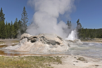 Eruption of the Grotto Geyser in the Yellowstone National Park, side view