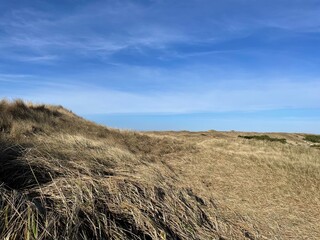 Naklejka premium sand dunes in the dunes