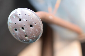 Old Water Watering Can Garden Farm Horizontal 