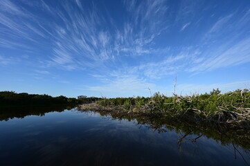 Morning clouds over Eco Pond in Everglades National Park, Florida reflected in pond's tranquil water.