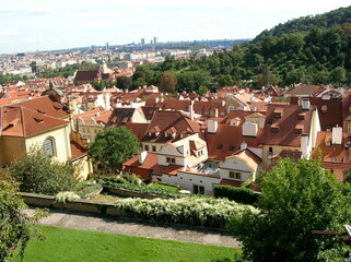 Fototapeta na wymiar view of the red rooftops 