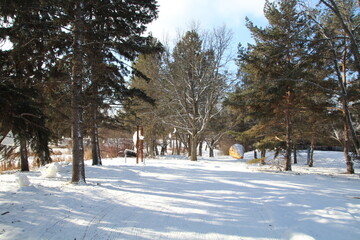Fototapeta na wymiar Path In The Park, William Hawrelak Park, Edmonton, Alberta