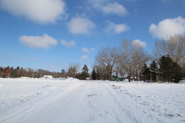 Fototapeta na wymiar road in the snow, William Hawrelak Park, Edmonton, Alberta