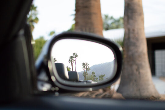 Car Side Mirror Reflection Of Palm Trees In California Desert