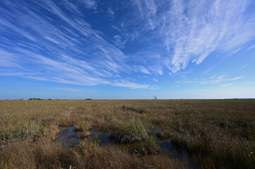 View of expansive sawgrass prairie from Pa Hay Okee overlook in Everglades National Park, Florida.