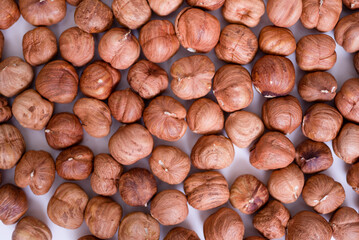 Hazelnuts on a light background. Fresh hazelnut harvest