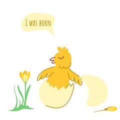 I was born. Cute chicken in an eggshell with a crocus flower. Vector illustration isolated on a white background for postcards, posters, decor