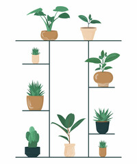 Fototapeta na wymiar Indoor plants on the shelf, hand drawn style, green potted plants vector set.