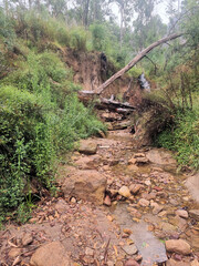 Dry river bed in the Australian bush near Newnes New South Wales Australia. Rocky river bed and a fallen tree