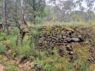 Fototapeta na wymiar Rough dry stone rock retaining wall overgrown with moss and lichen Newnes New South Wales Australia