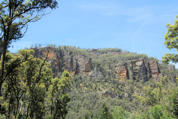 Fototapeta na wymiar Mountain Scenery in the Australian bush with eucalypt trees near Newnes New South Wales Australia
