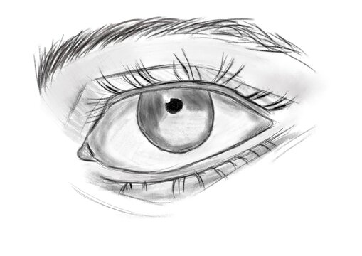recommend clip art: Eye sketch drawn in pencil drawing style. Large drawing of an eye with eyebrows, eyelashes and pupils.