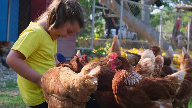 Happy child feeding chickens on the farm