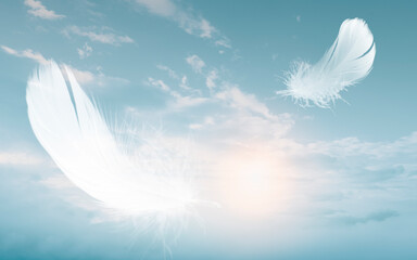 White Bird Feathers Floating in The Sky with Clouds. Swan Feather Flying Dreamy on Heavenly. Down Feathers	