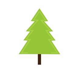 Vector illustration of a spruce tree.
