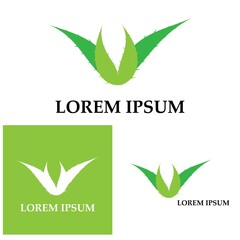 Aloe vera logo vector ilustration template