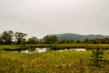 Flora and fauna of the Russian Far East. Wildlife and flora and fauna of Russia